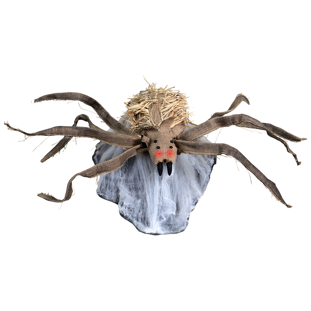 Burlap Jumping Spider