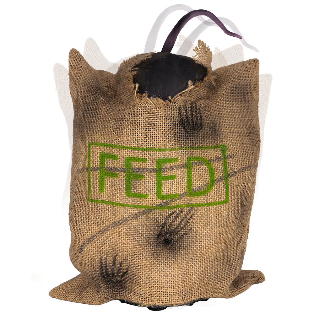 Animated Rat in Feed